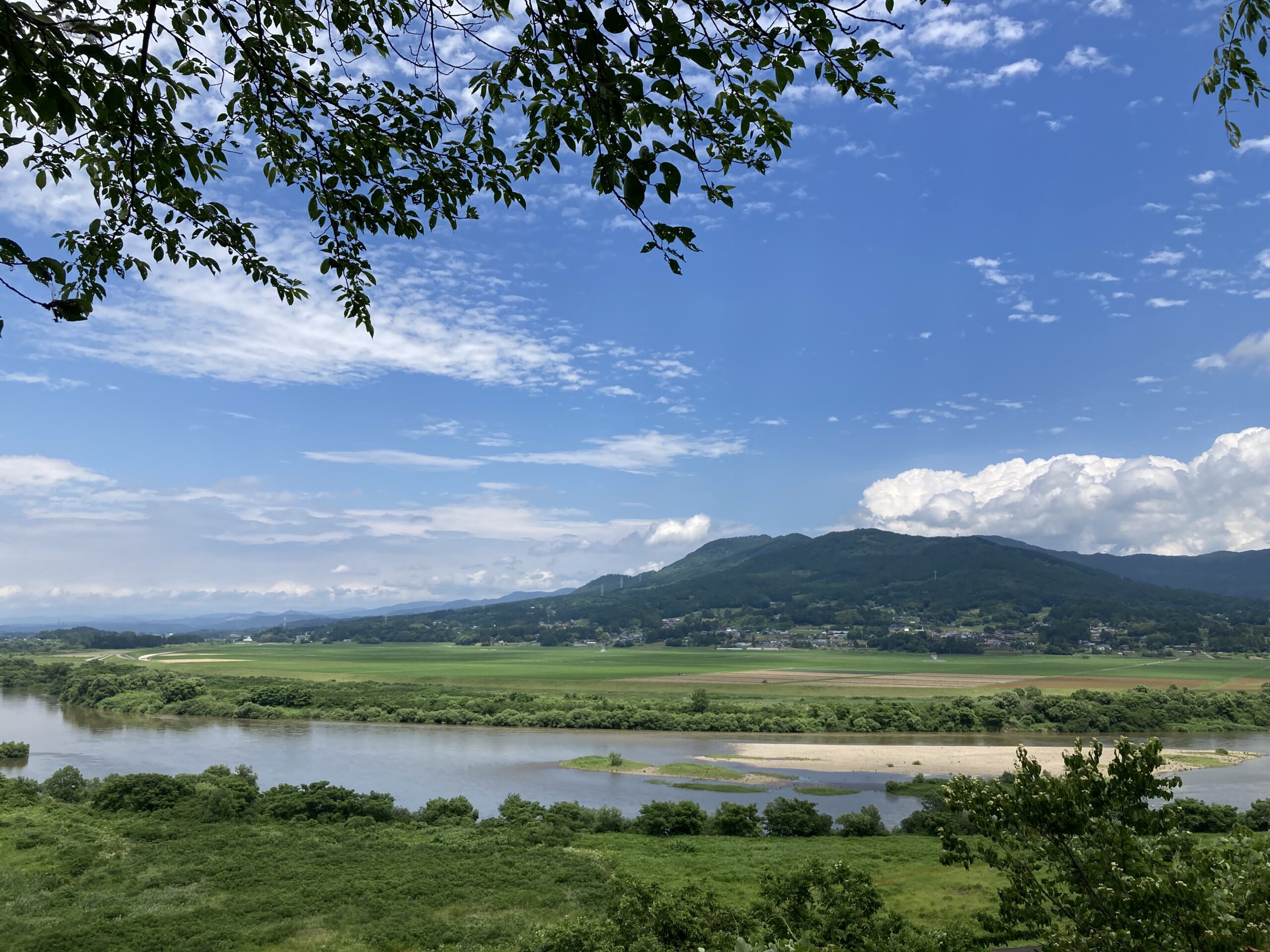 夏草と平泉